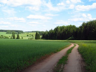 Дорога к б/д Пашковы (Дмитрий Зонов)