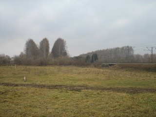 сыга (Семенов Павел)