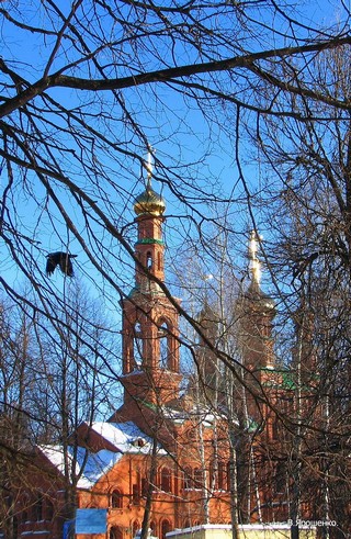 Утро.2009. (V.Yarochenko)