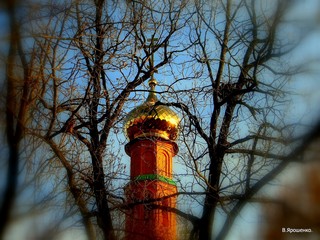 Гнездо птицы. (V.Yarochenko)