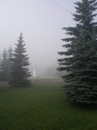 Фантомный Ленин среди ёлок (Пеккалайнен)