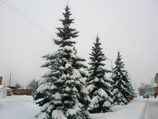 У здания администрации (Пеккалайнен)