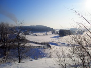 Виды (Пеккалайнен)