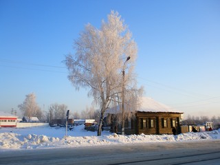 Красота (Пеккалайнен)