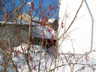 Зимние ягоды, пер.Народный (Дмитрий Зонов)