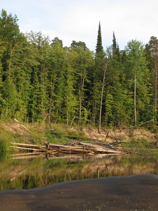 Природа р.Б.Кокшага\\\\\\The Nature r.B.KOKSHAGA (WERMUT)