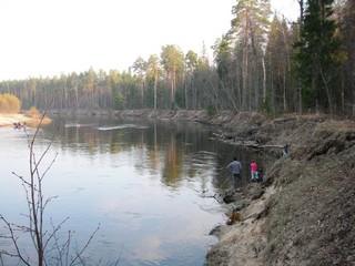 Кокшага (Oscar Che)