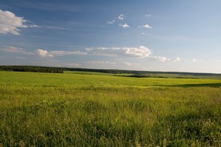 Вид на пруд (Юрий Зыкин)