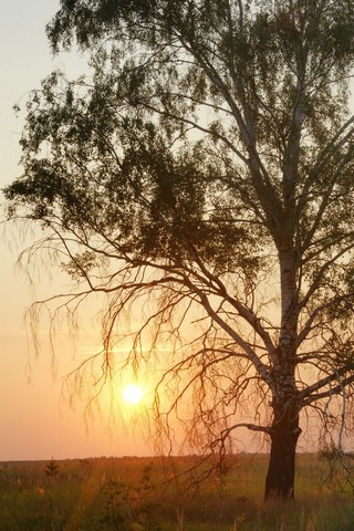 рассвет (Соколов Леонид)