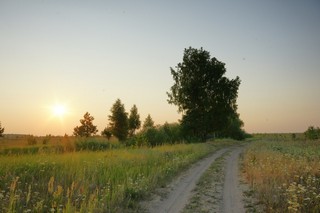 дорога в поле (Соколов Леонид)