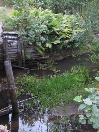 Р.Липша\\\\\Lipsha river (WERMUT)