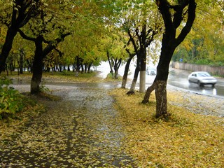 У ж/д переезда, сентябрь (Дмитрий Зонов)