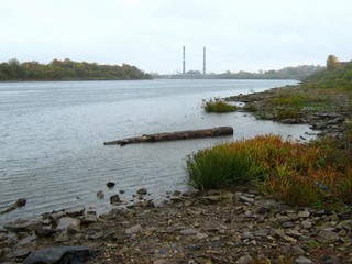 Дождь, вид на Нововятский ЛПК (Дмитрий Зонов)