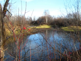 Пойменное озеро, октябрь (Дмитрий Зонов)