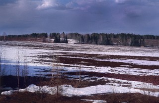 Апрель (Мартюшев Павел)