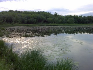 Капиташка (Иван Тасмаев)