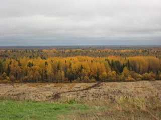 золотая осень (Viktor Tsylev)