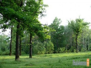 природа (lenko_angel)