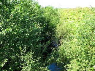 Речка Удюрма (Alex1281)