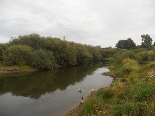 Залив (Andrey Ivashchenko)