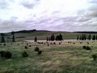 поле у буран-пруда (densmoke)