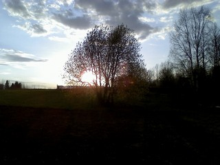 у Буран-пруда (densmoke)