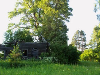 Руины и тополь, б/д Одинцы (Дмитрий Зонов)