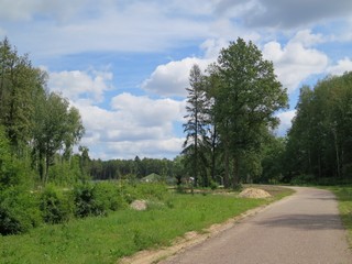 Дендросад. (gogabig)