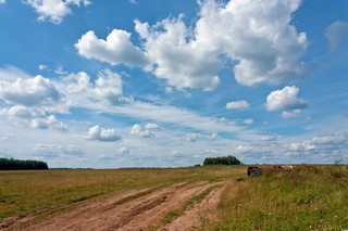 Холм у деревни Парюг (Даровской р-он Кировская обл) (Алексей Трухин)
