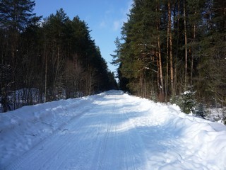 Около п. Сосновый 2010 (bokax)