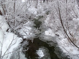 Люльченка, декабрь (Дмитрий Зонов)