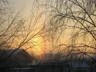 Морозное утро. Вид из окна. (Дмитрий Зонов)