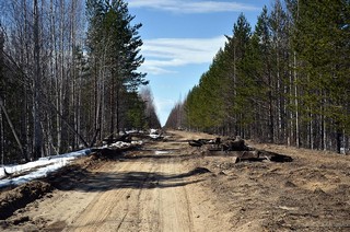 Бадья-Чернореченский (Денис Логиновский (denlog))