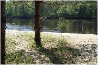 р. Большая Кокшага. (До автомобильного моста на трассе Р-176 «Вятка» примерно 25 км). Марий Эл. Россия. Май 2013 г.  (Alex Van Shumm)