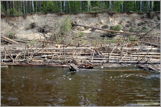 р. Большая Кокшага. (До автомобильного моста на трассе Р-176 «Вятка» примерно 20…22 км). Марий Эл. Россия. Май 2013 г.  (Alex Van Shumm)