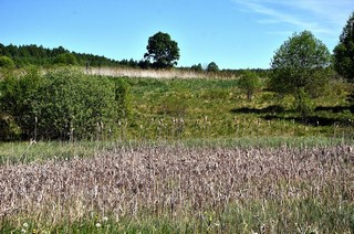 д.Овчинниково (Денис Логиновский (denlog))