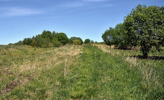 дорога Гидаево-Кай (Денис Логиновский (denlog))