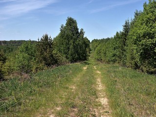 дорога Гидаево-Кай (Денис Логиновский (denlog))