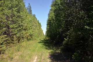 дорога Гидаево-Кай (Денис Логиновский (denlog))