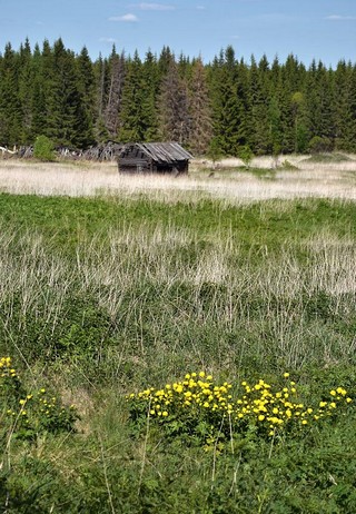 д.Юркино (Денис Логиновский (denlog))