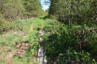 дорога Гидаево-Кай (Денис Логиновский (denlog))