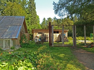 За теплицей (Максим Цуканов)