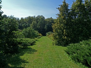 Зелёная дорога (Максим Цуканов)