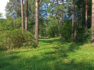 Травяная тропа (Максим Цуканов)