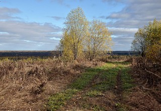 д.Прислон(нежил) (Денис Логиновский (denlog))