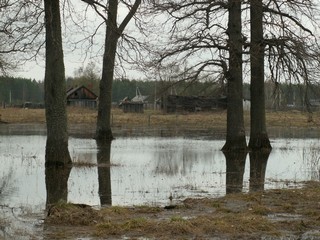 весенний разлив, 2008 год//spring flood, 2008 (viktor drobot)