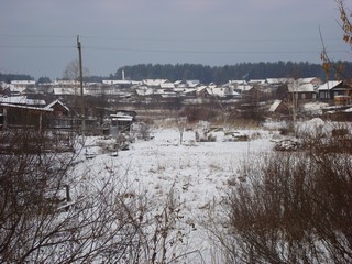 Зимний Даровской (Zagurskij)