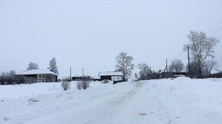 Деревня Косолаповы (Дмитрий Зонов)