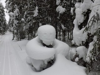 Снежный человек (Дмитрий Зонов)