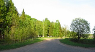 Сельское кладбище, Волково (Дмитрий Зонов)